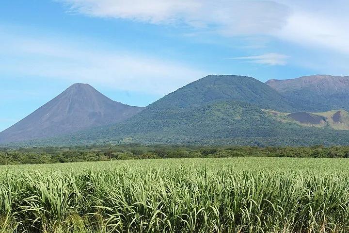 Vista del Volcán de Izalco y el Volcán Santa Ana detrás de un campo de caña de azúcar